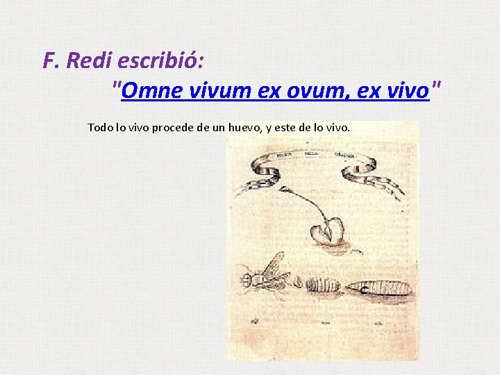 F. Redi escribió: "Omne vivum ex ovum, ex vivo" Todo lo vivo procede de F. Redi escribió: "Omne vivum ex ovum, ex vivo" Todo lo vivo procede de