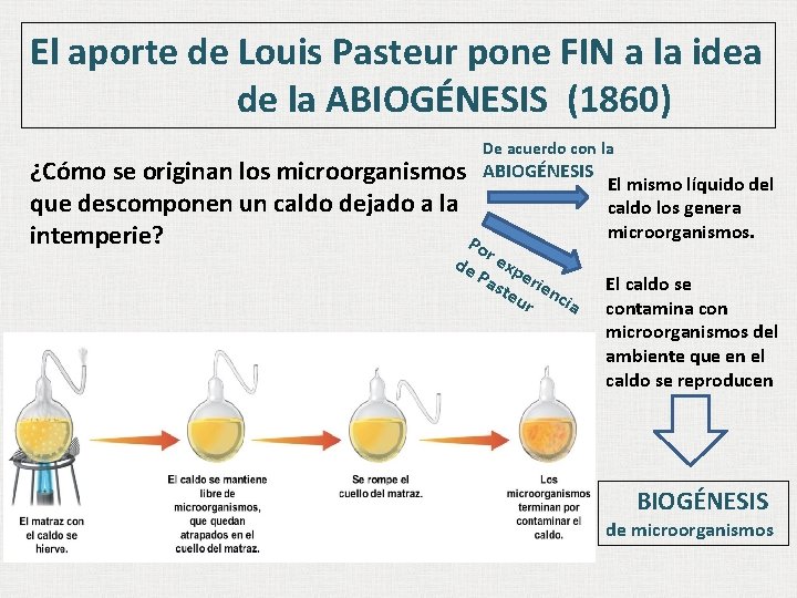 El aporte de Louis Pasteur pone FIN a la idea de la ABIOGÉNESIS (1860) El aporte de Louis Pasteur pone FIN a la idea de la ABIOGÉNESIS (1860)