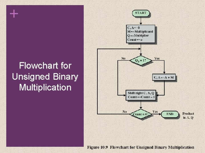 + Flowchart for Unsigned Binary Multiplication 