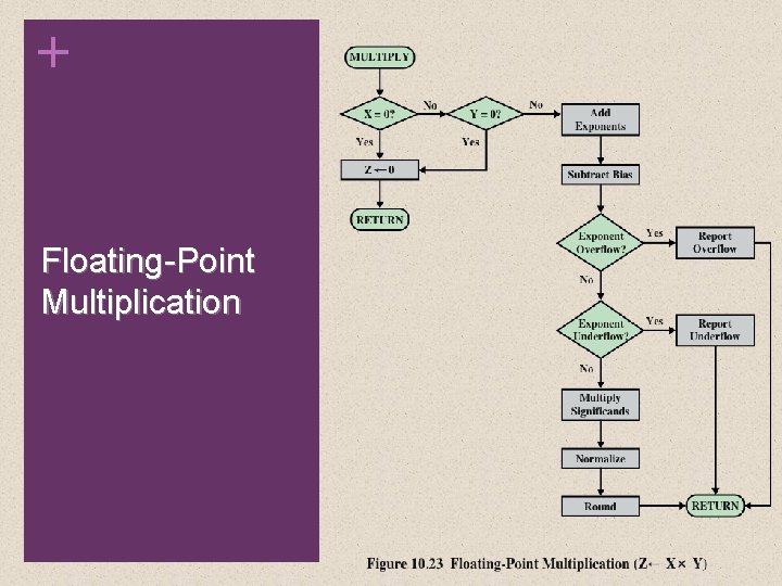 + Floating-Point Multiplication 