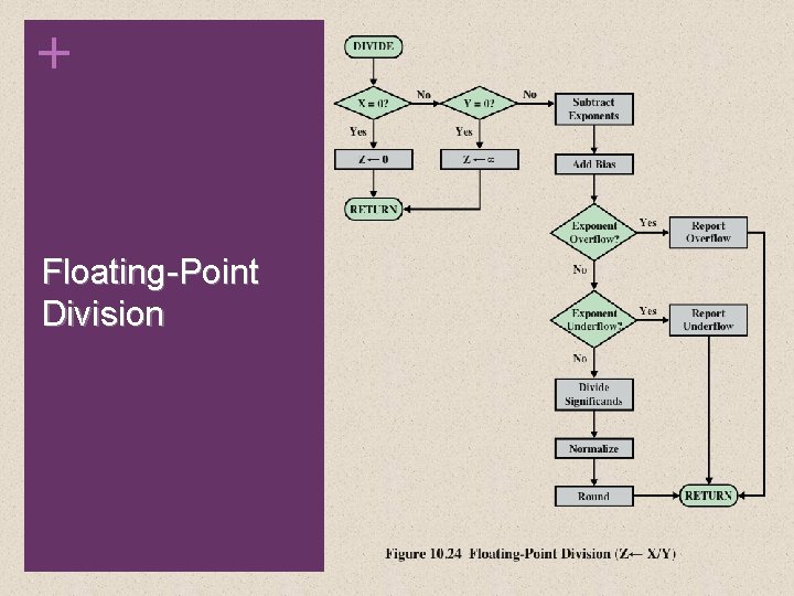 + Floating-Point Division 