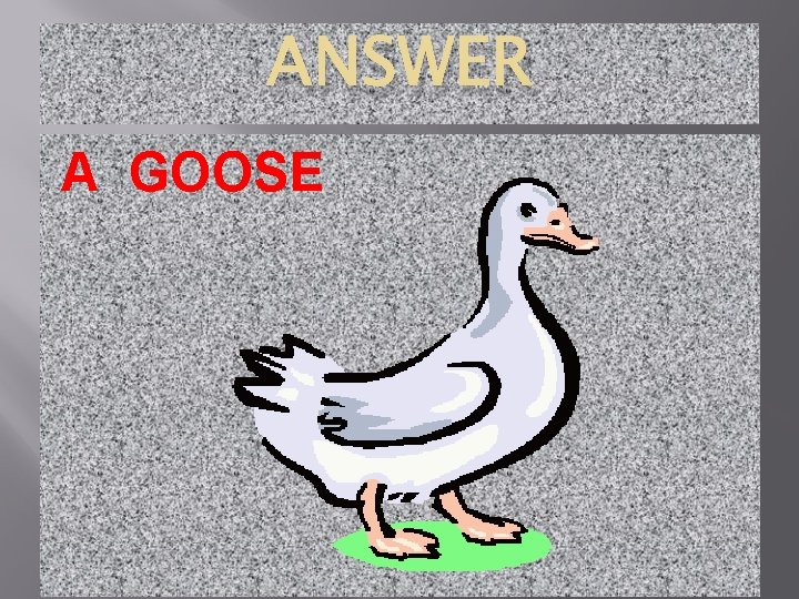 ANSWER A GOOSE 