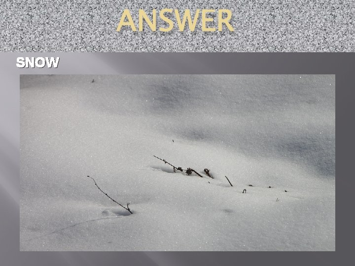 ANSWER SNOW 