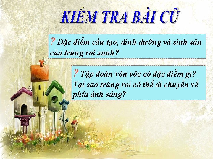 ? Đặc điểm cấu tạo, dinh dưỡng và sinh sản của trùng roi xanh?