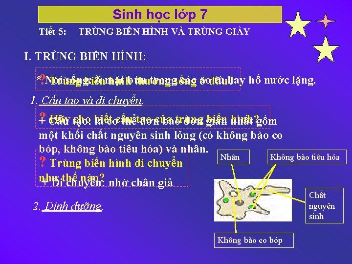 Sinh học lớp 7 Tiết 5: TRÙNG BIẾN HÌNH VÀ TRÙNG GIÀY I. TRÙNG