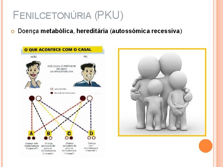 FENILCETONÚRIA (PKU) Doença metabólica, hereditária (autossómica recessiva) 