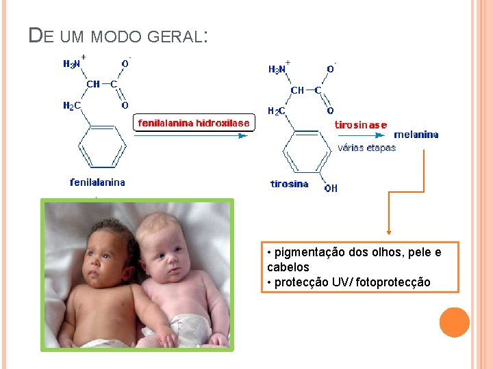 DE UM MODO GERAL: • pigmentação dos olhos, pele e cabelos • protecção UV/