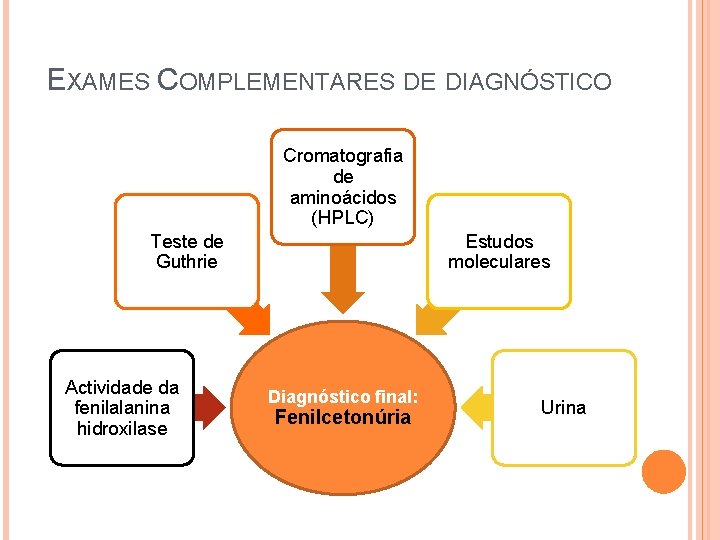 EXAMES COMPLEMENTARES DE DIAGNÓSTICO Cromatografia de aminoácidos (HPLC) Teste de Guthrie Actividade da fenilalanina