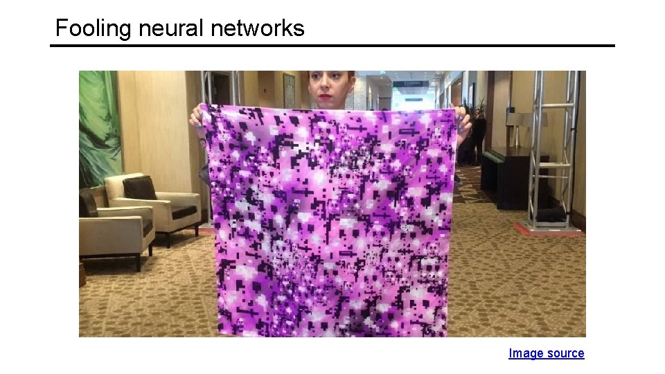 Fooling neural networks Image source 