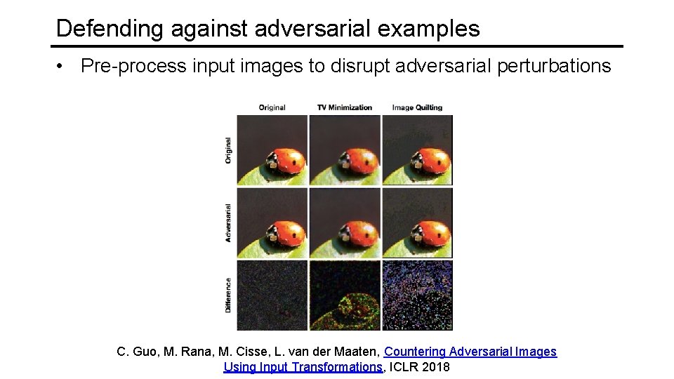 Defending against adversarial examples • Pre-process input images to disrupt adversarial perturbations C. Guo,