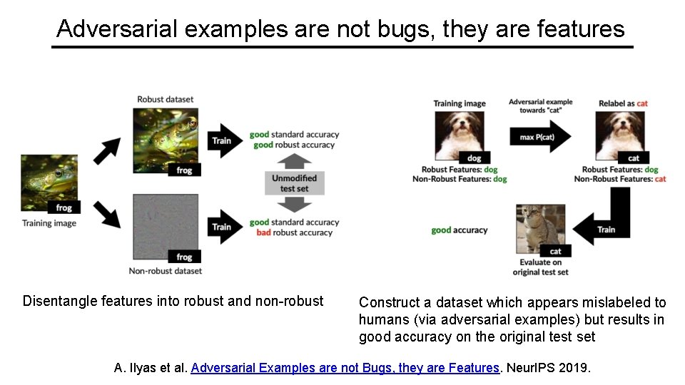 Adversarial examples are not bugs, they are features Disentangle features into robust and non-robust