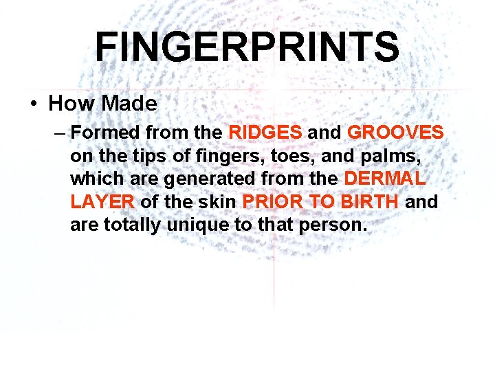 FINGERPRINTS • How Made – Formed from the RIDGES and GROOVES on the tips