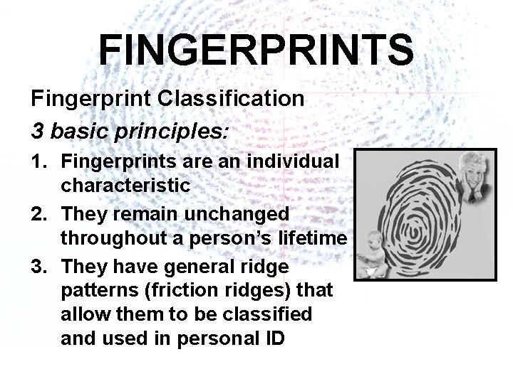 FINGERPRINTS Fingerprint Classification 3 basic principles: 1. Fingerprints are an individual characteristic 2. They