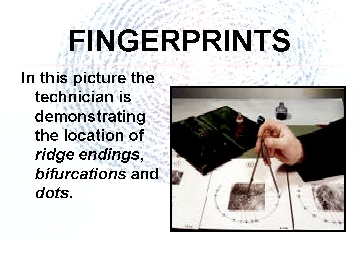 FINGERPRINTS In this picture the technician is demonstrating the location of ridge endings, bifurcations