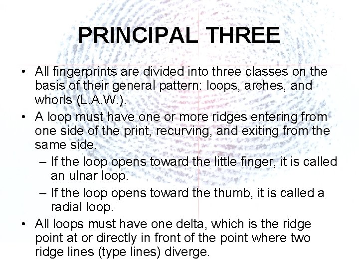 PRINCIPAL THREE • All fingerprints are divided into three classes on the basis of