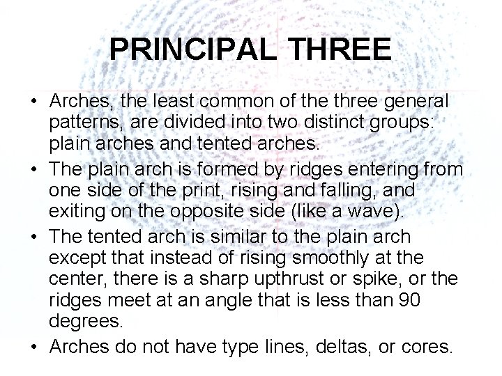 PRINCIPAL THREE • Arches, the least common of the three general patterns, are divided