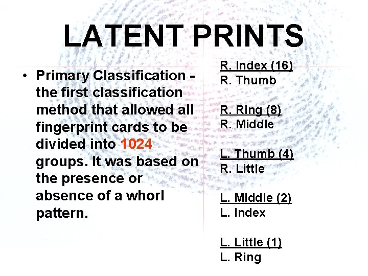 LATENT PRINTS • Primary Classification the first classification method that allowed all fingerprint cards