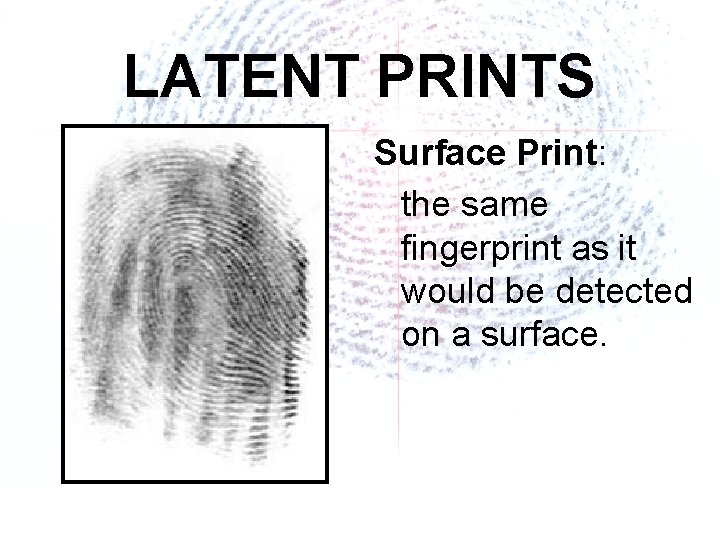 LATENT PRINTS Surface Print: the same fingerprint as it would be detected on a