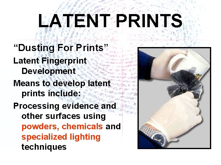 LATENT PRINTS “Dusting For Prints” Latent Fingerprint Development Means to develop latent prints include: