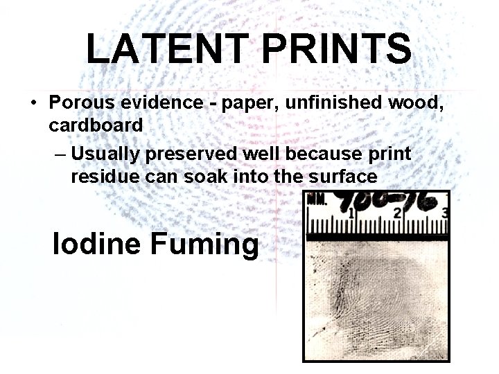 LATENT PRINTS • Porous evidence - paper, unfinished wood, cardboard – Usually preserved well