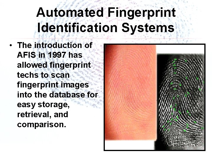 Automated Fingerprint Identification Systems • The introduction of AFIS in 1997 has allowed fingerprint