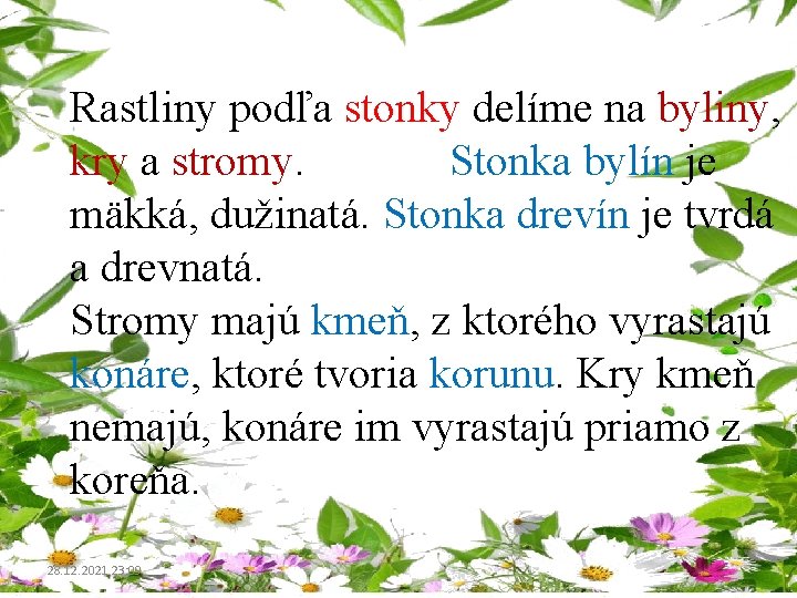 Rastliny podľa stonky delíme na byliny, kry a stromy. Stonka bylín je mäkká, dužinatá.