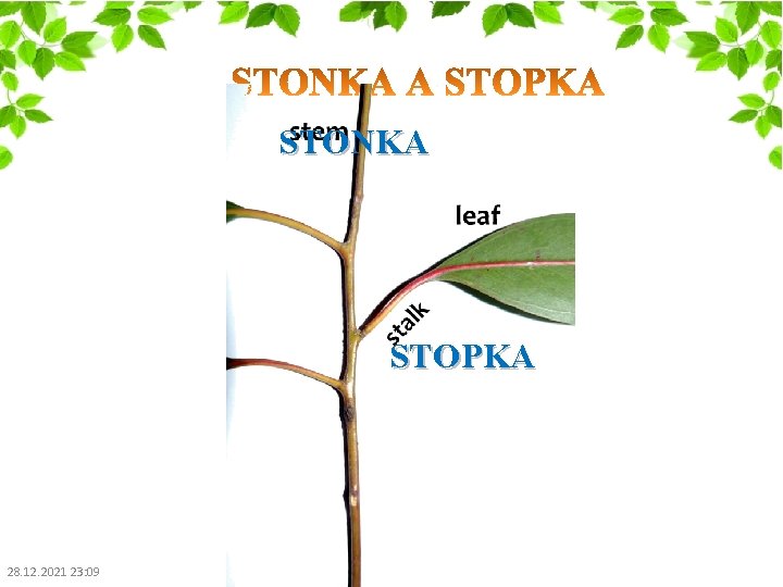 STONKA STOPKA 28. 12. 2021 23: 09 