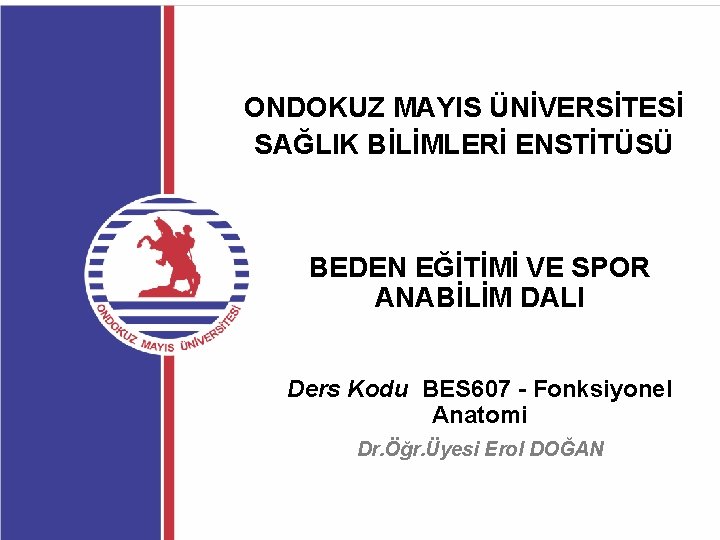 ONDOKUZ MAYIS ÜNİVERSİTESİ SAĞLIK BİLİMLERİ ENSTİTÜSÜ BEDEN EĞİTİMİ VE SPOR ANABİLİM DALI Ders Kodu