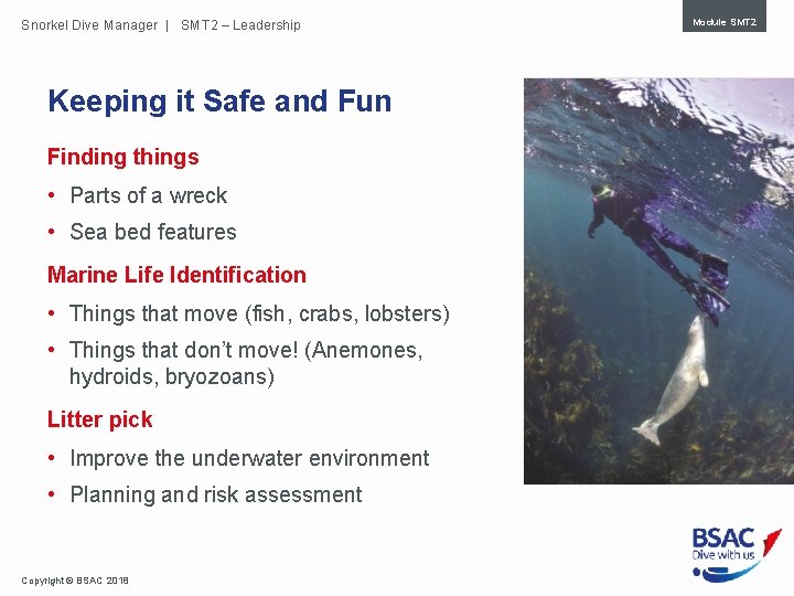 Snorkel Dive Manager | SMT 2 – Leadership Keeping it Safe and Fun Finding