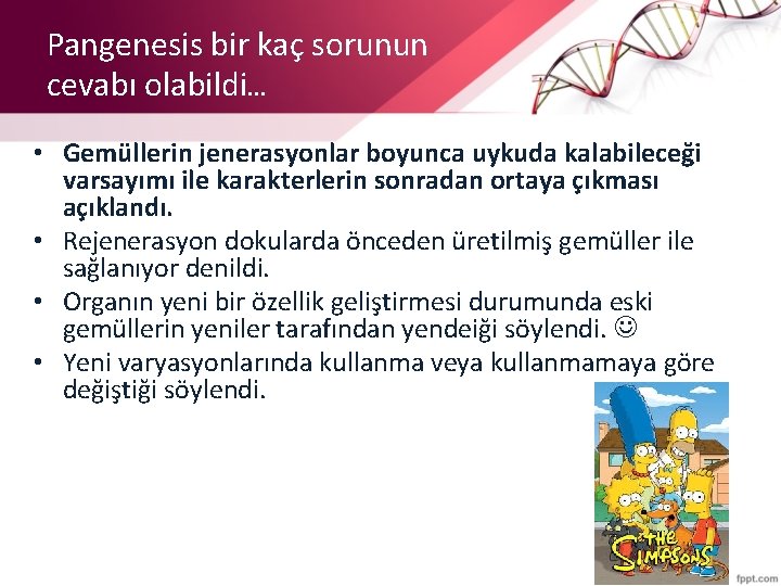 Pangenesis bir kaç sorunun cevabı olabildi… • Gemüllerin jenerasyonlar boyunca uykuda kalabileceği varsayımı ile