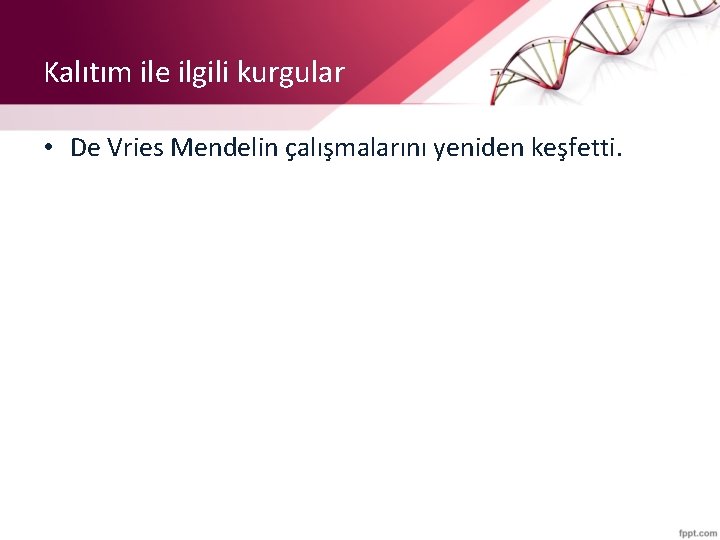 Kalıtım ile ilgili kurgular • De Vries Mendelin çalışmalarını yeniden keşfetti. 