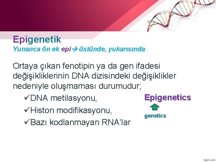 Epigenetik Yunanca ön ek epi üstünde, yukarısında Ortaya çıkan fenotipin ya da gen ifadesi