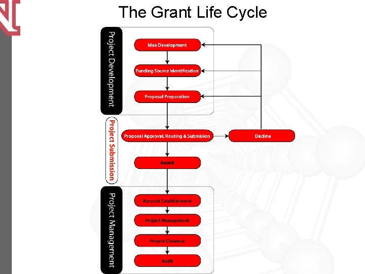 The Grant Life Cycle 