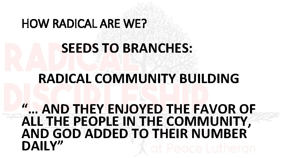 HOW RADICAL ARE WE? SEEDS TO BRANCHES: RADICAL COMMUNITY BUILDING “… AND THEY ENJOYED