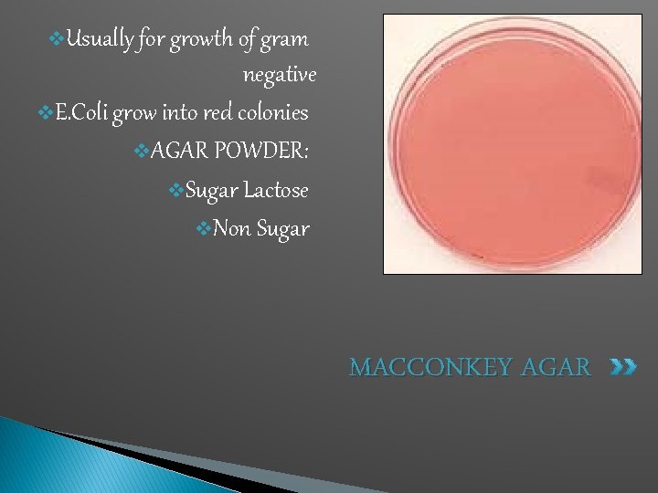 v. Usually for growth of gram negative v. E. Coli grow into red colonies
