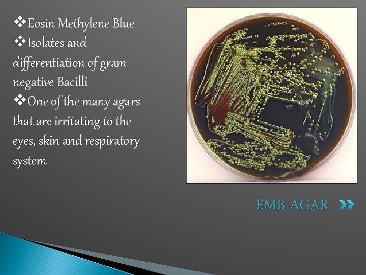 v. Eosin Methylene Blue v. Isolates and differentiation of gram negative Bacilli v. One