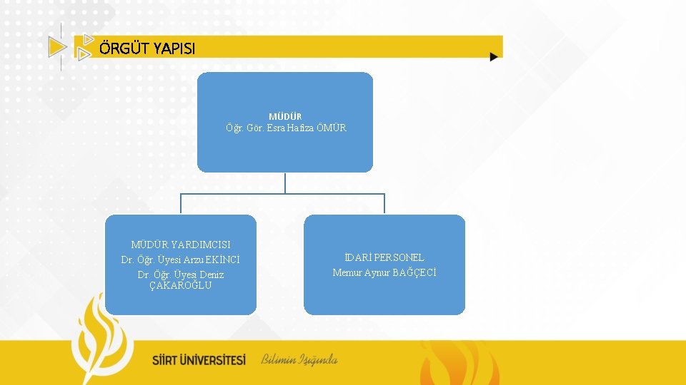 ÖRGÜT YAPISI MÜDÜR Öğr. Gör. Esra Hafıza ÖMÜR MÜDÜR YARDIMCISI Dr. Öğr. Üyesi Arzu