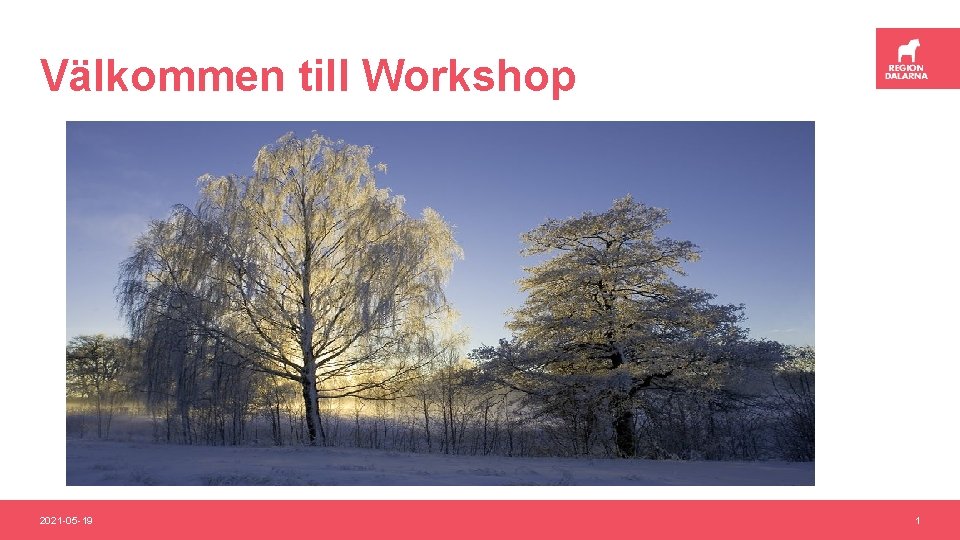 Välkommen till Workshop 2021 -05 -19 1 