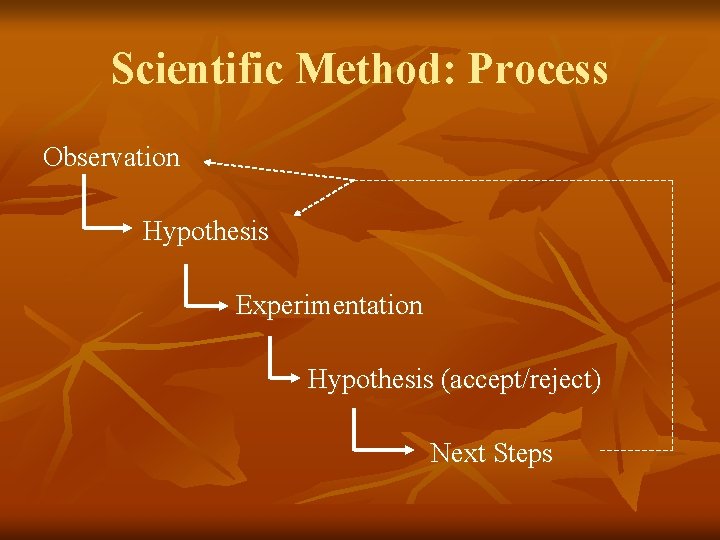 Scientific Method: Process Observation Hypothesis Experimentation Hypothesis (accept/reject) Next Steps 