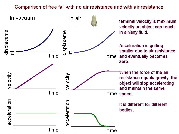 Comparison of free fall with no air resistance and with air resistance time velocity