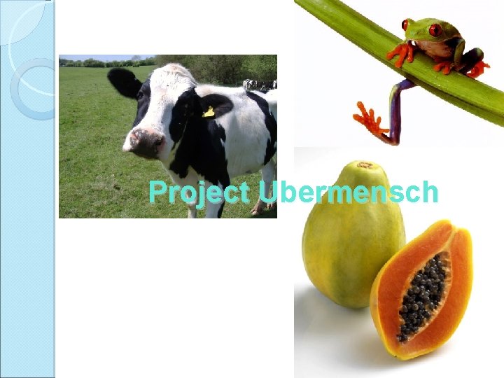 Project Ubermensch 