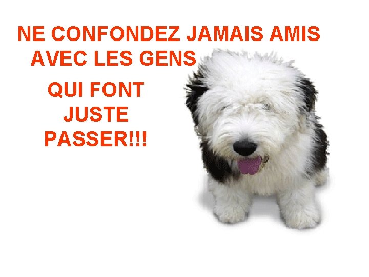 NE CONFONDEZ JAMAIS AMIS AVEC LES GENS QUI FONT JUSTE PASSER!!! 