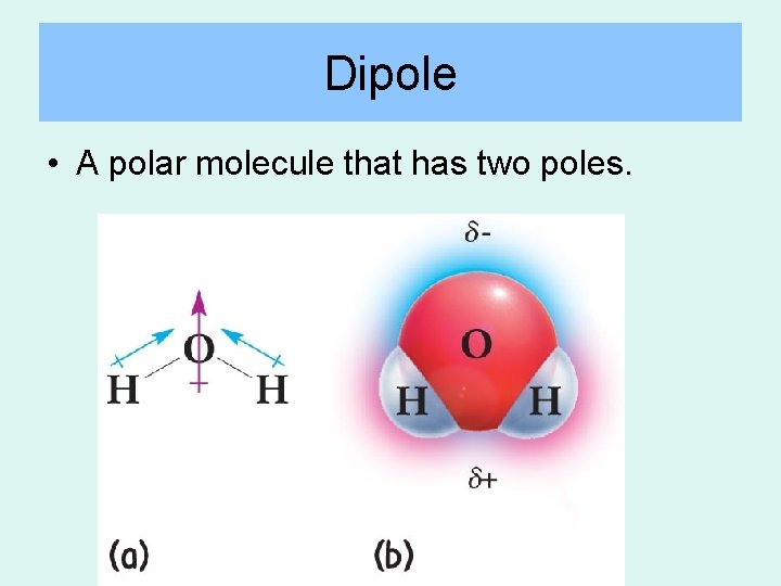 Dipole • A polar molecule that has two poles. Dipole • A polar molecule that has two poles.
