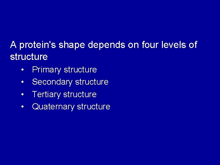 A protein's shape depends on four levels of structure • • Primary structure Secondary