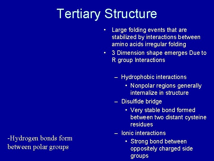 Tertiary Structure • Large folding events that are stabilized by interactions between amino acids