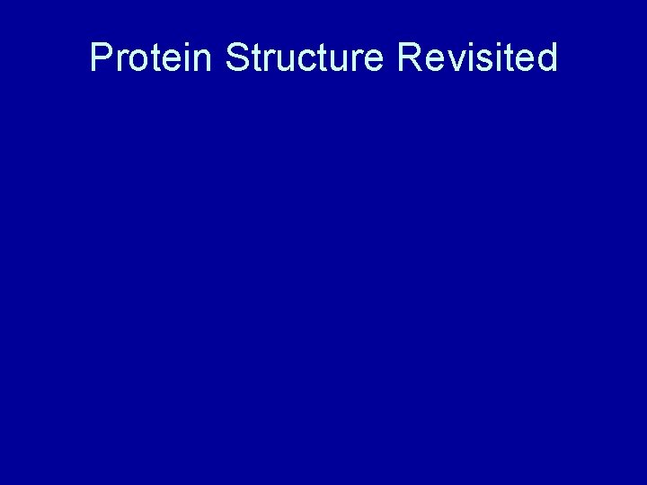 Protein Structure Revisited 
