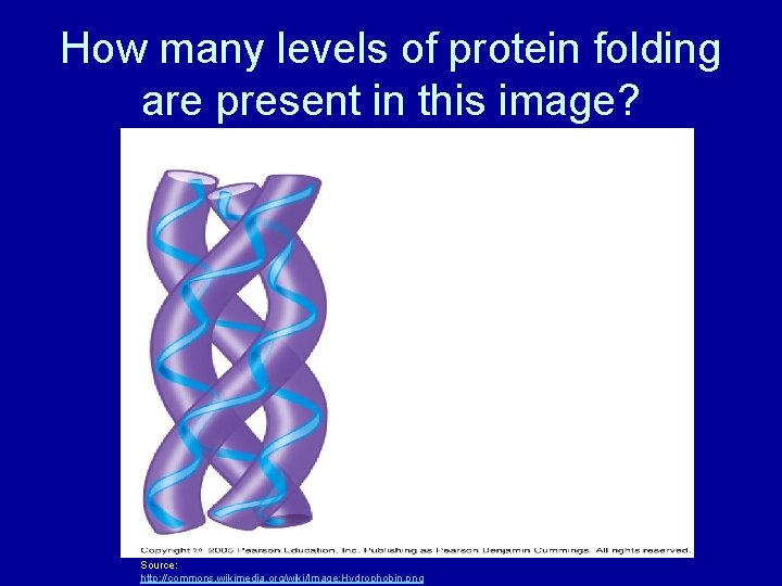 How many levels of protein folding are present in this image? Source: http: //commons.