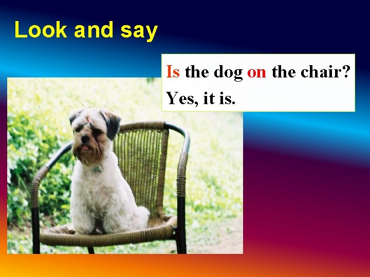 Look and say Is the dog on the chair? Yes, it is. Look and say Is the dog on the chair? Yes, it is.