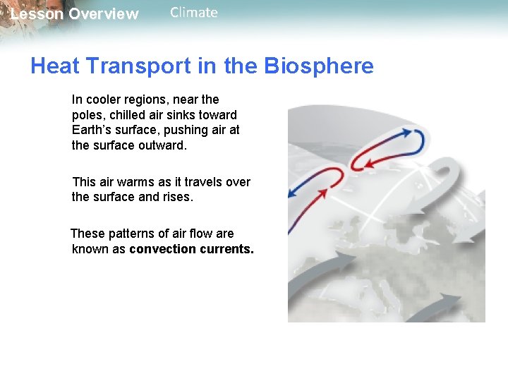 Lesson Overview Climate Heat Transport in the Biosphere In cooler regions, near the poles,