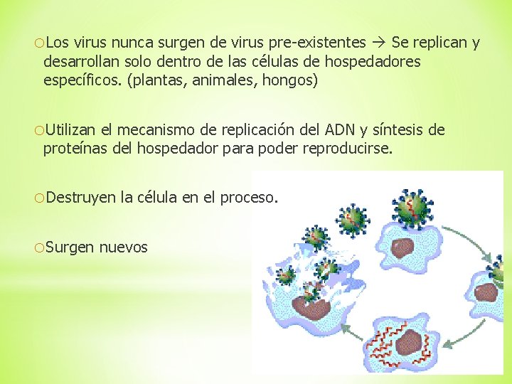 o. Los virus nunca surgen de virus pre-existentes Se replican y desarrollan solo dentro